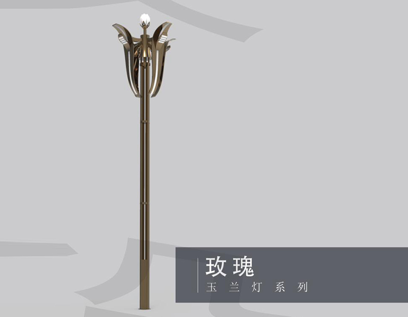 玫瑰