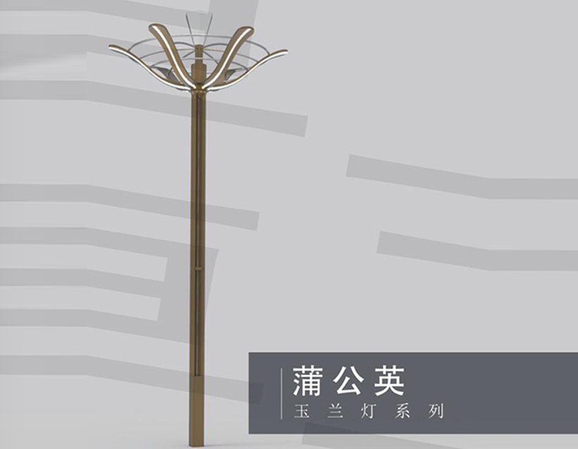蒲公英