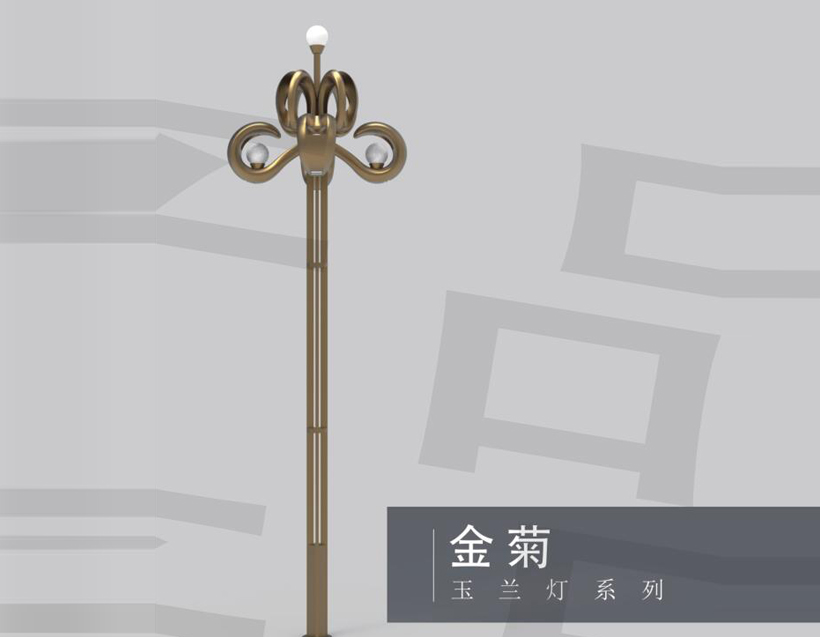 金菊