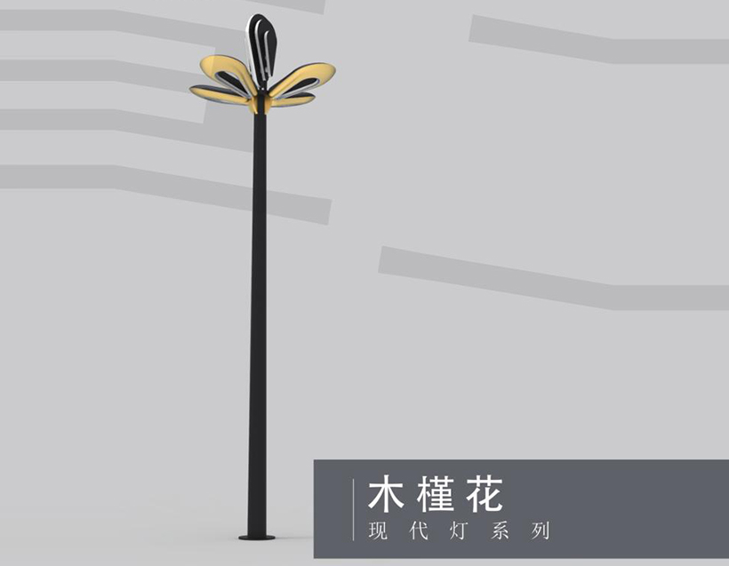 木槿花