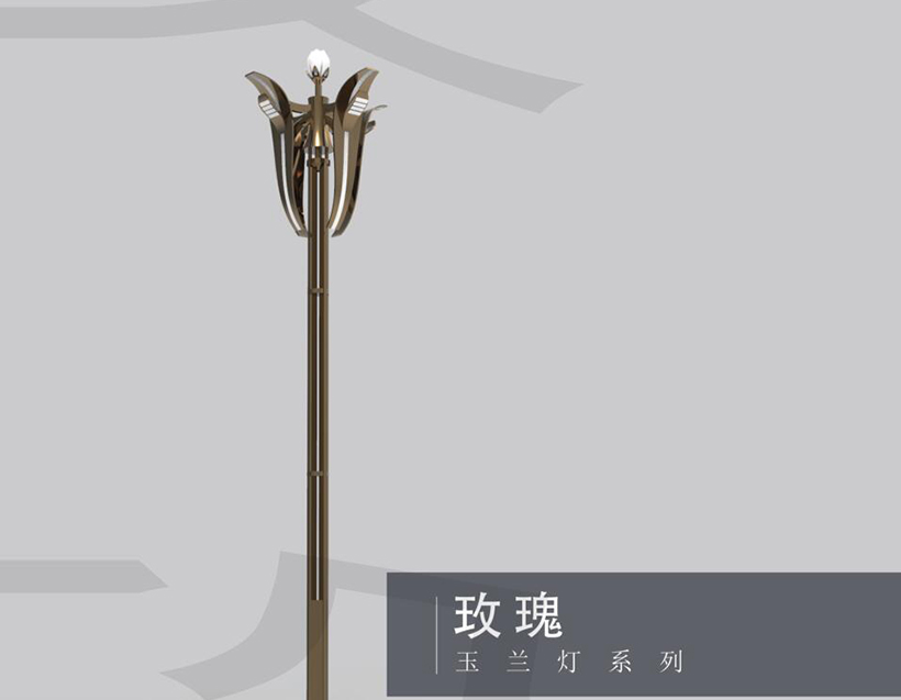 玫瑰