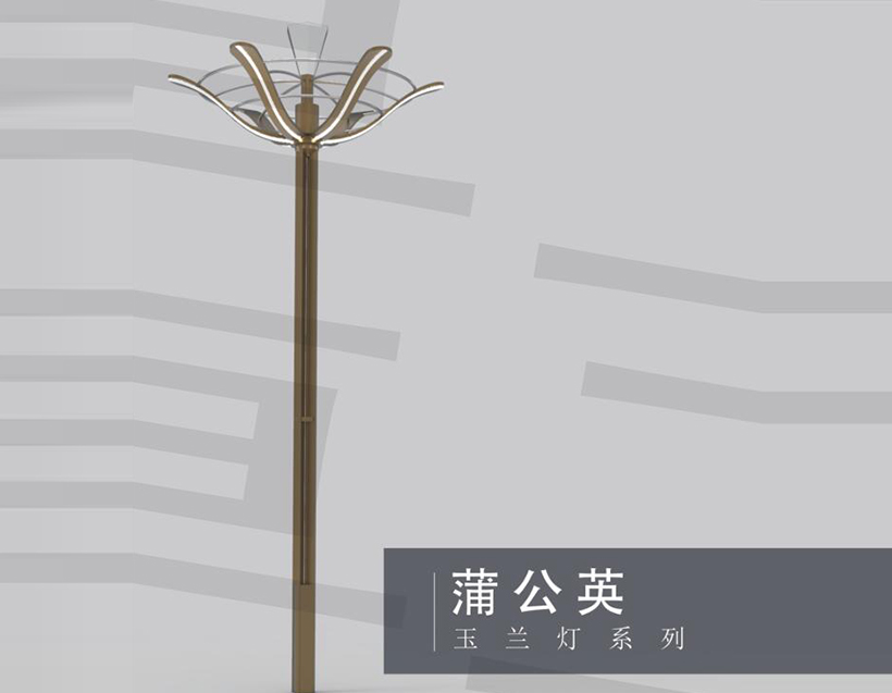 蒲公英